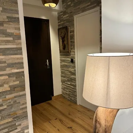 Appartamento Cocon Au Coeur De Avec Parking Gratuit Chamonix