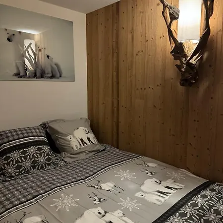 Cocon Au Coeur De Avec Parking Gratuit Appartamento Chamonix