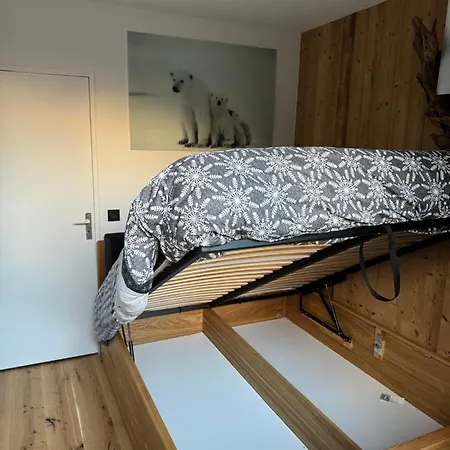 Appartamento Cocon Au Coeur De Avec Parking Gratuit Chamonix